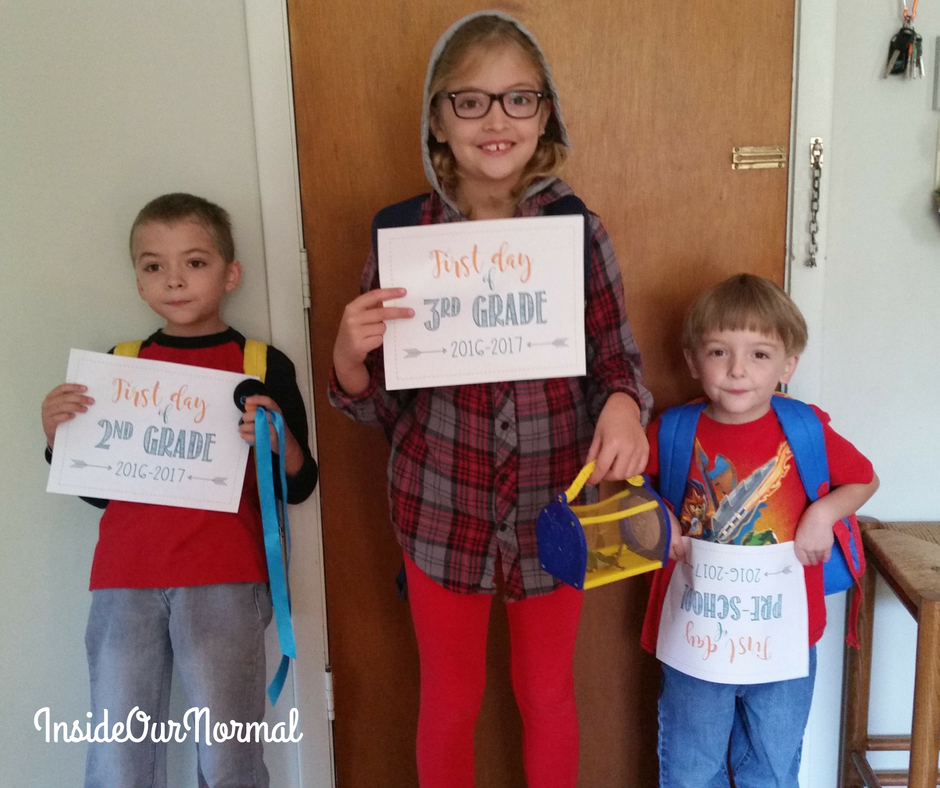 Homeschool Curriculum Review for the 2017-2018 school year, a look back at what I planned and what we used.