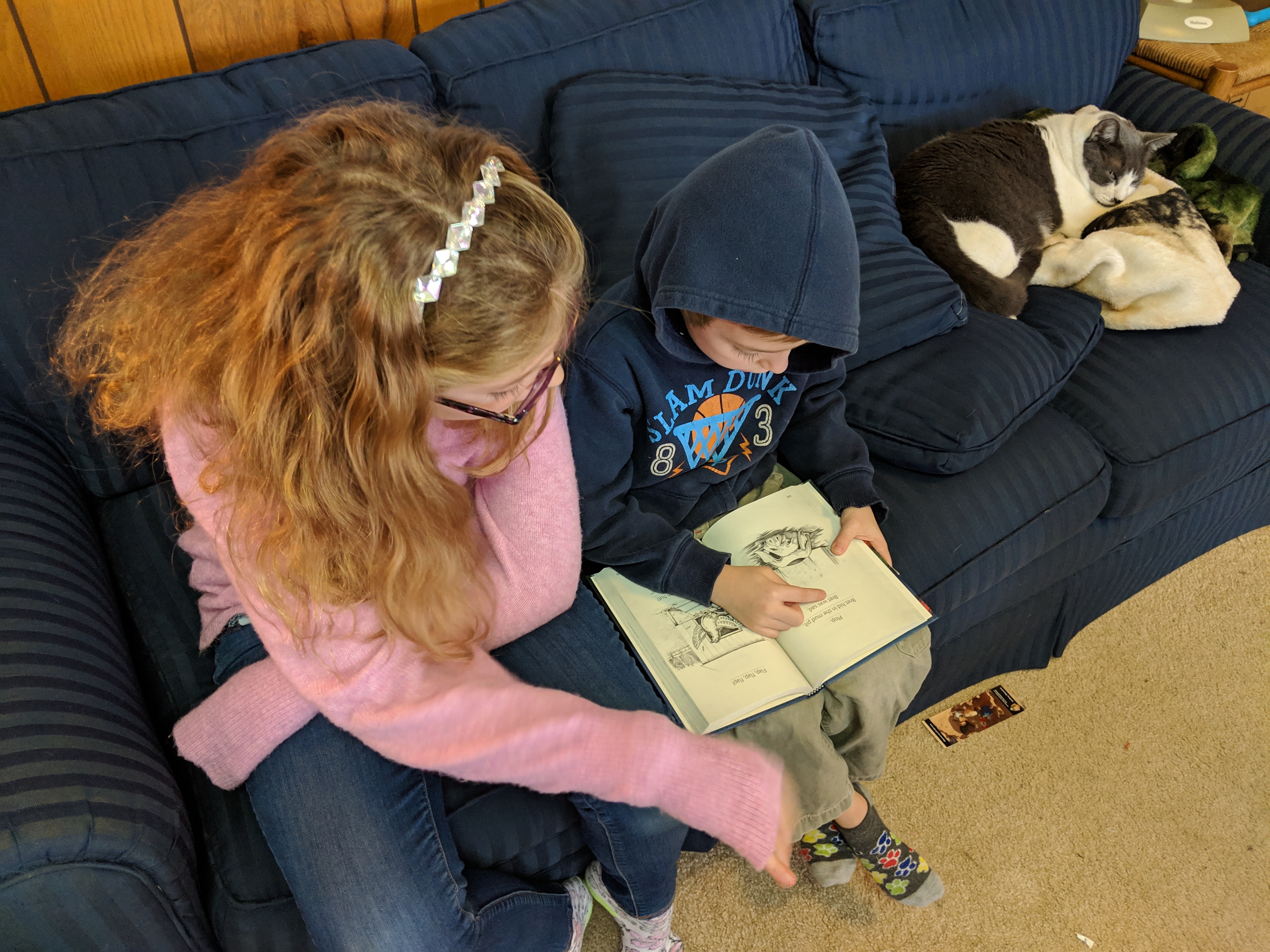 midyearcheckinAJreading