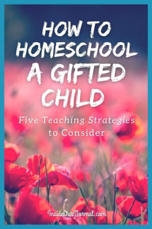 5 strategies for homeschooling gifted students
