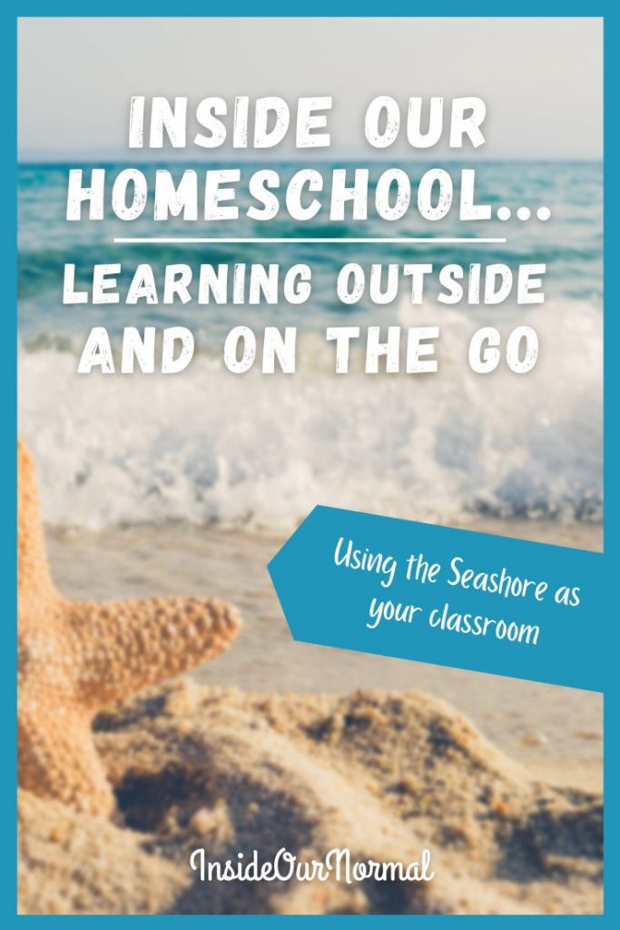 Using the seashore and Florida wildlife as your homeschool classroom